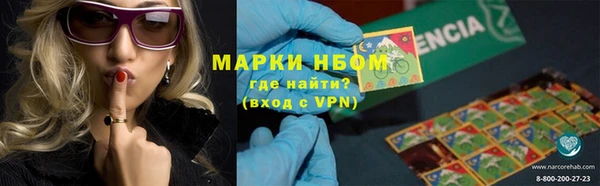 прущие грибы Алзамай
